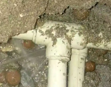 定日测漏水多少钱