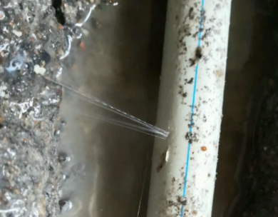 定日测漏水哪家好