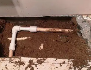 定日测漏水哪家好