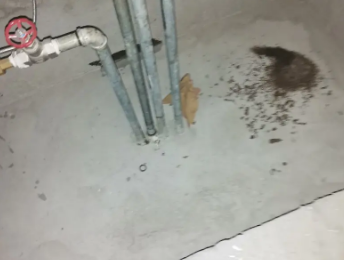 定日卫生间测漏水价格明细