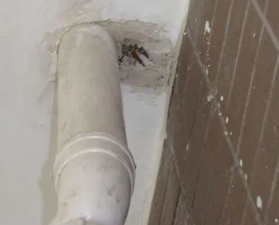 定日漏水检测哪家好